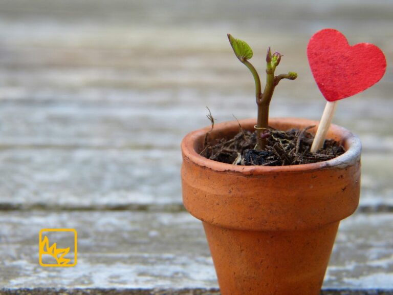 Herz mit grüner Pflanze