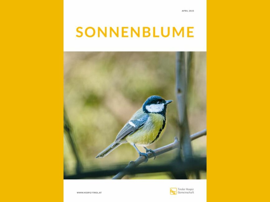 Cover Vereinszeitung "Sonnenblume"