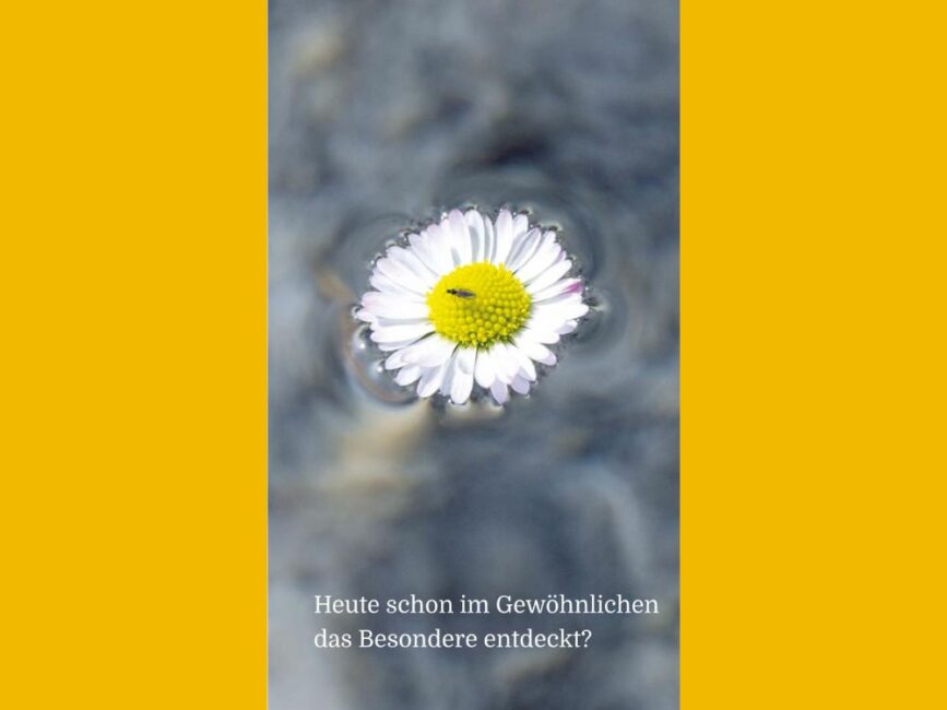 Ein einzelnes Gänseblümchen schwimmt mit einer kleinen Fliege auf seiner gelben Mitte in einem Bach. Leichte Wellen umgeben die Blüte. Der Hintergrund ist ein unscharfes, graues Bild des Bachbetts. Unter dem Foto steht in weißer Schrift der Satz: "Heute schon im Gewöhnlichen das Besondere entdeckt?