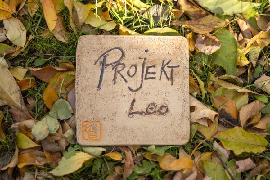 Holzstück mit Aufschrift "Projekt LEO"